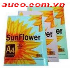Bìa Thái A4 Sunflower - BIA-1661 