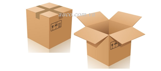 Hộp carton CT002