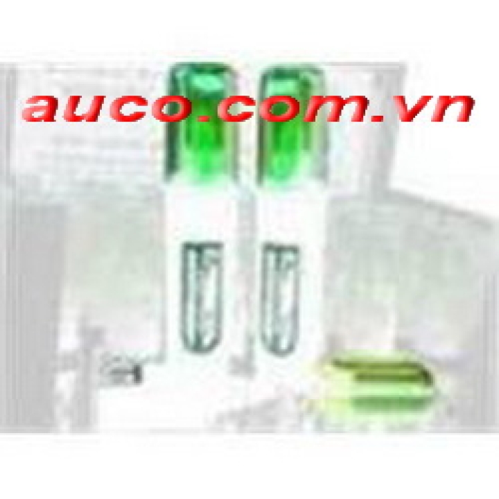 Bút xoá Gingko dẹt 12ml - BXG-3373 