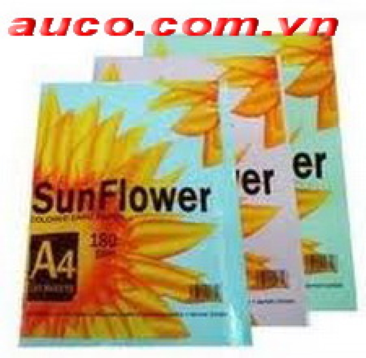 Bìa Thái A4 Sunflower - BIA-1661 