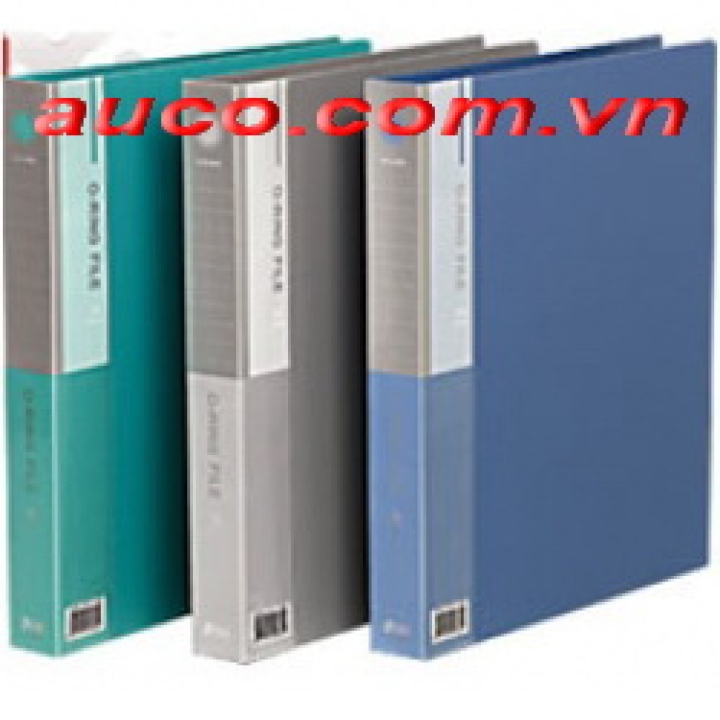 FLD-3199 File 10 lá Deli 5210