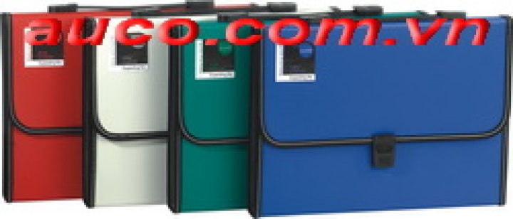 CTLD-3265 Cặp tài liệu 12 ngăn Deli 5559