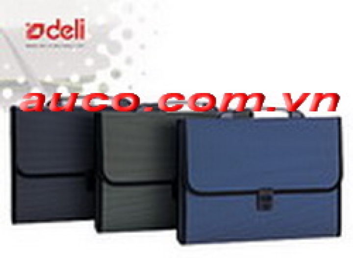 CTLD-3268 Cặp tài liệu 12 ngăn Deli 5556