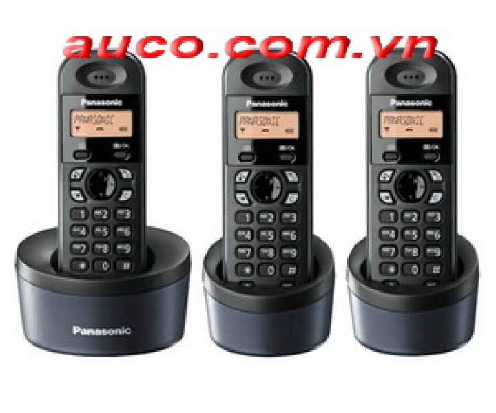 CÐKD-2730 Điện thoại không dây KX-TG1313