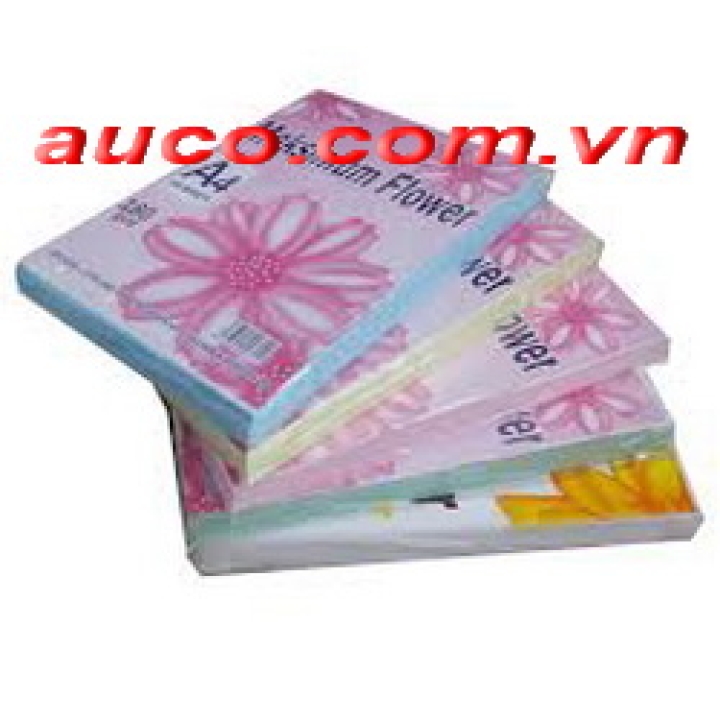 Bìa thái thơm A4 - BIA-2742 