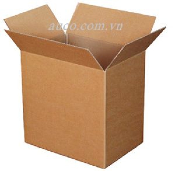 Hộp carton CT001