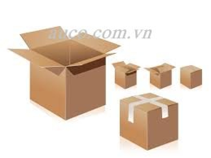 Hộp carton CT005